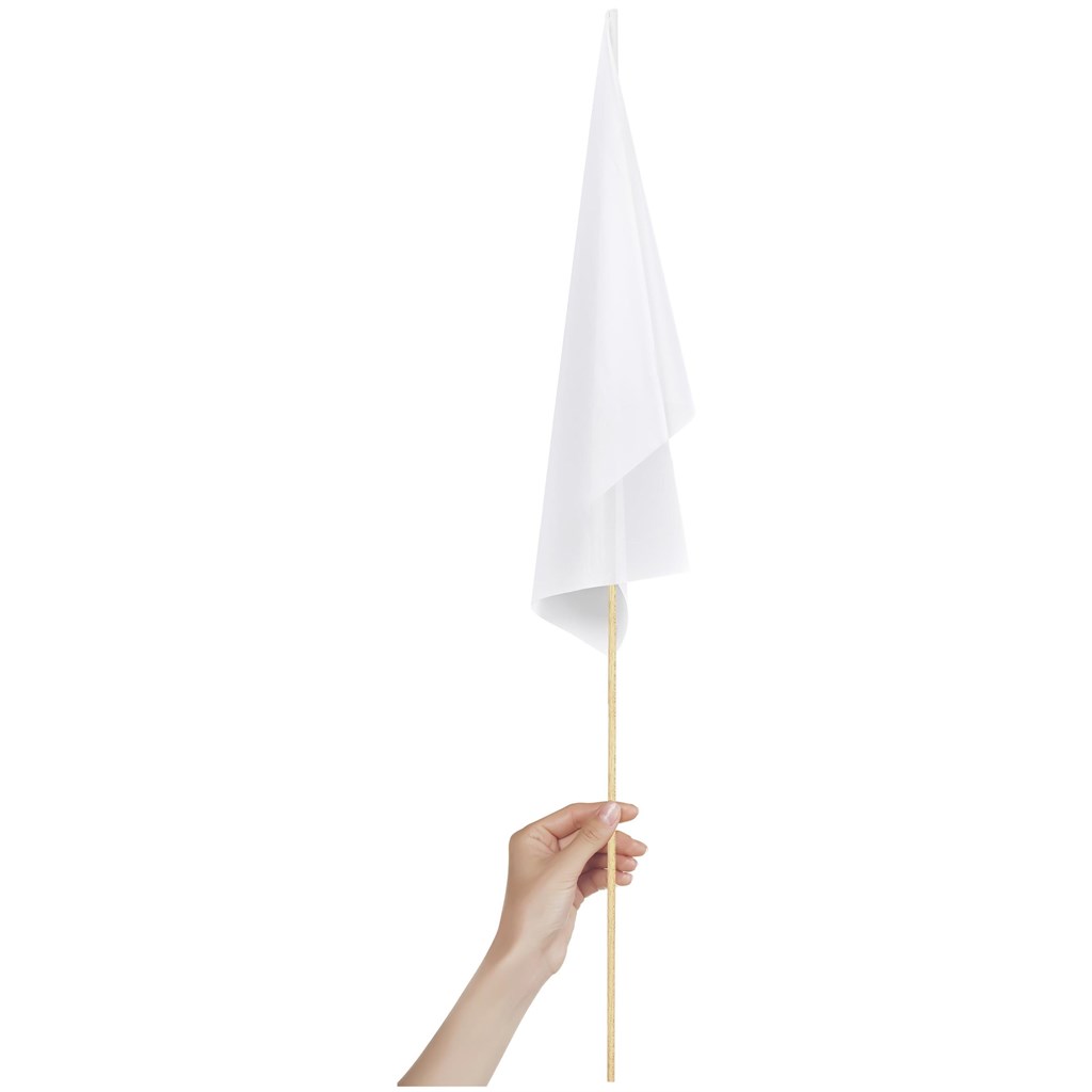 Champion Medium Hand Flag 450mm x 300mm - Image 4